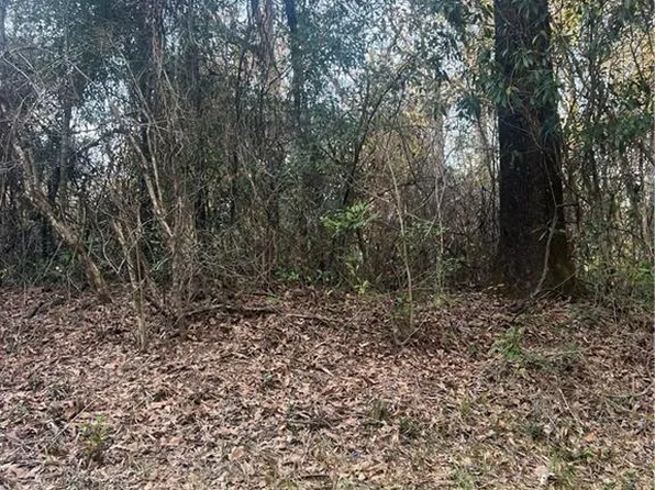 10965 Stephens Rd, Chunchula, AL 36521