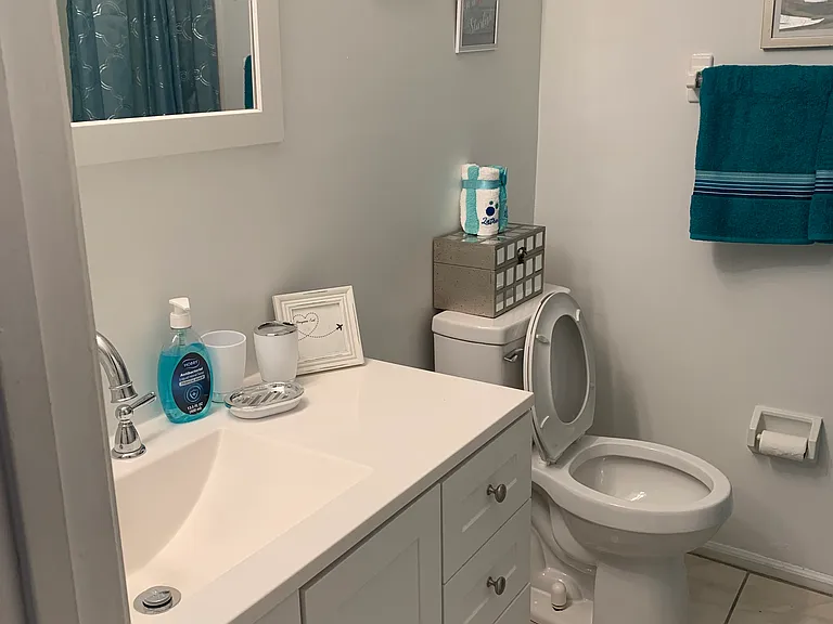 Master Bathroom in Bedroom