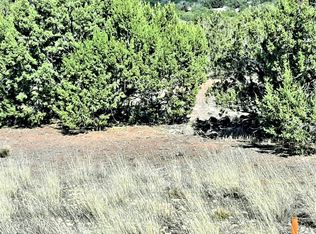 2717 Deer Run Pl #46, Show Low, AZ 85901