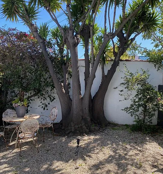 1053 S Alfred St #A — Photo 1