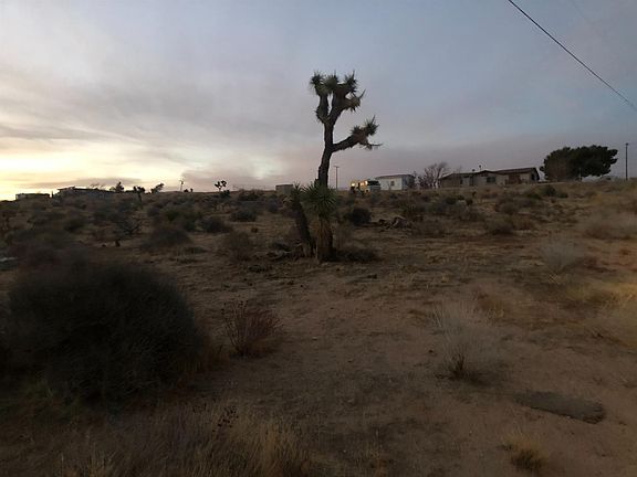 2nd image of 9578 Buena Vista St