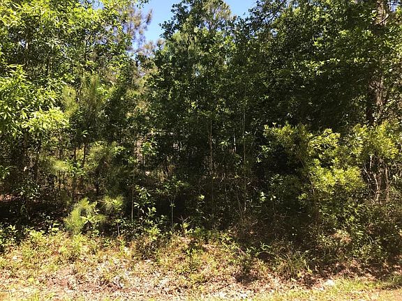 2nd image of 8512 Marigold Ln