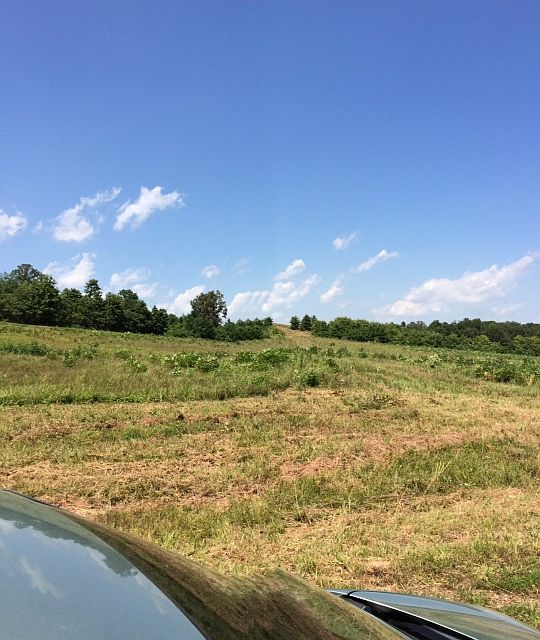 1st image of Cedar Creek Lane