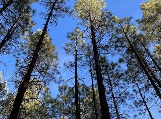 243 Gooseleg Cir, Lakeside, AZ 85929