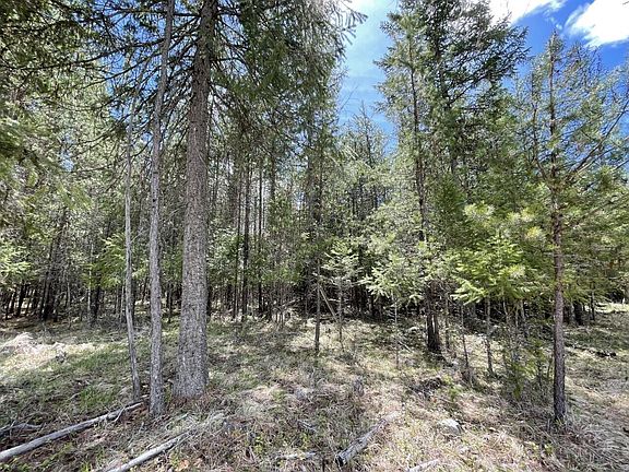 5th image of Nhn Graves Creek Loop