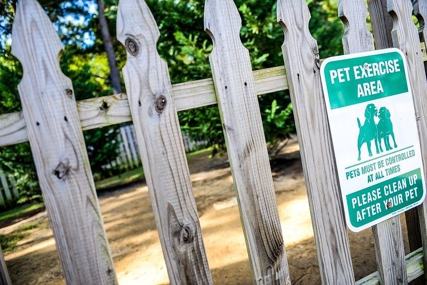Pet Area