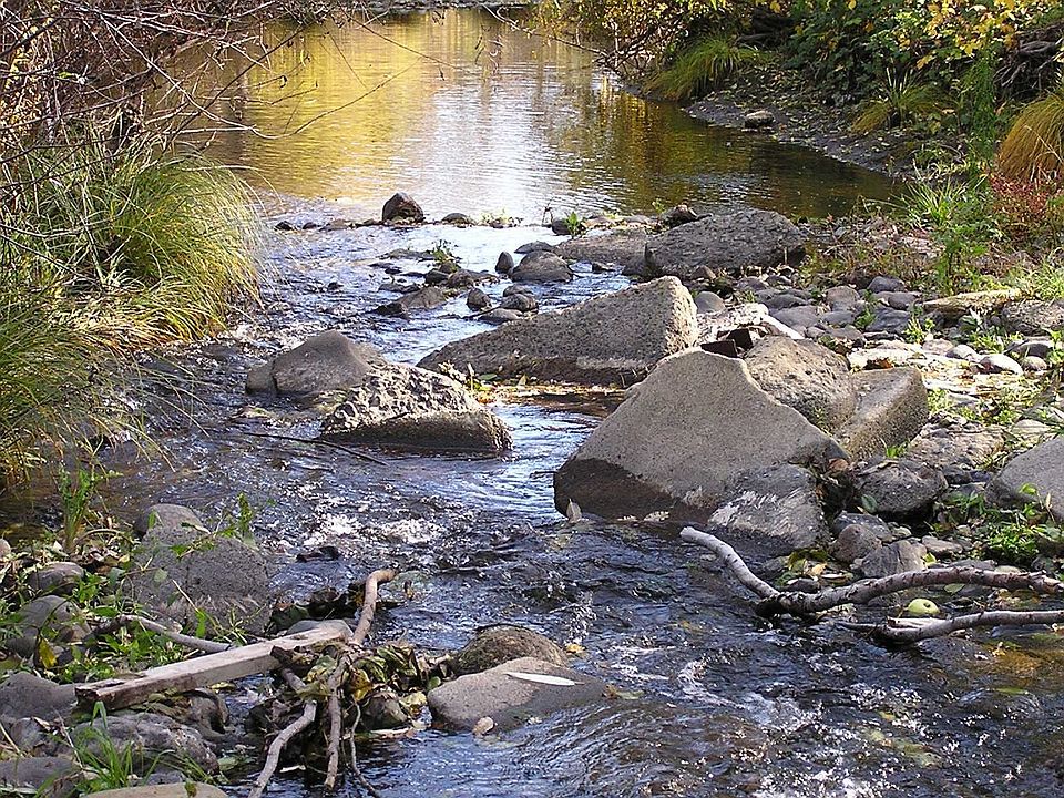 Creek behind De Chene