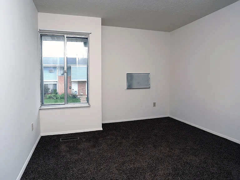 Plush Carpeting