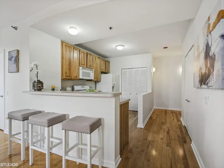 1111 S Wabash Ave #806 — Photo 3