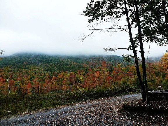 Fall foliage - mountain view