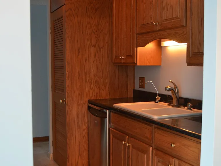 195 N Harbor Dr #4501 — Photo 16