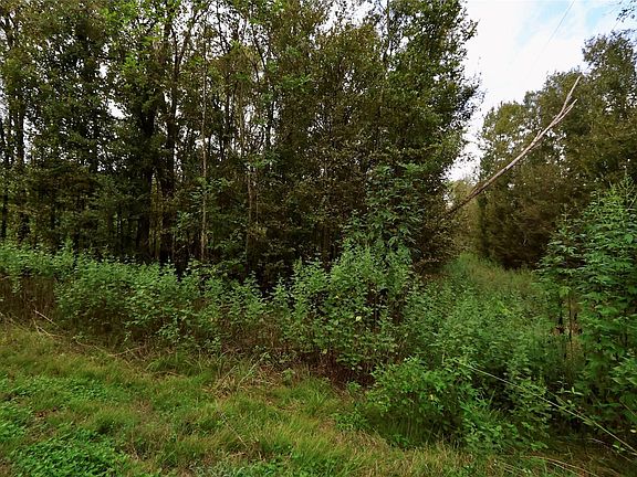 5th image of 126 Kings Point Rd Lot 22