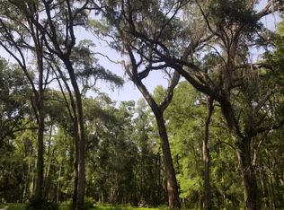 52 NE 325th Ave, Old Town, FL 32680