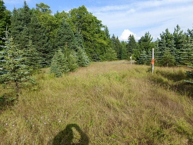 2nd image of 4429n State Hwy. M-77