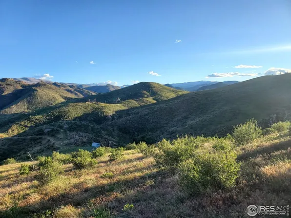 232 Red Mountain Ct, Livermore, CO 80536