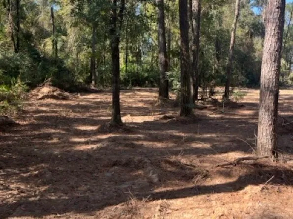 Jh Jenkins Ln, Denham Springs, LA 70706