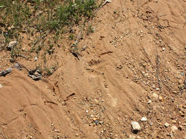 (undisclosed Address), Jessieville, AR 71949