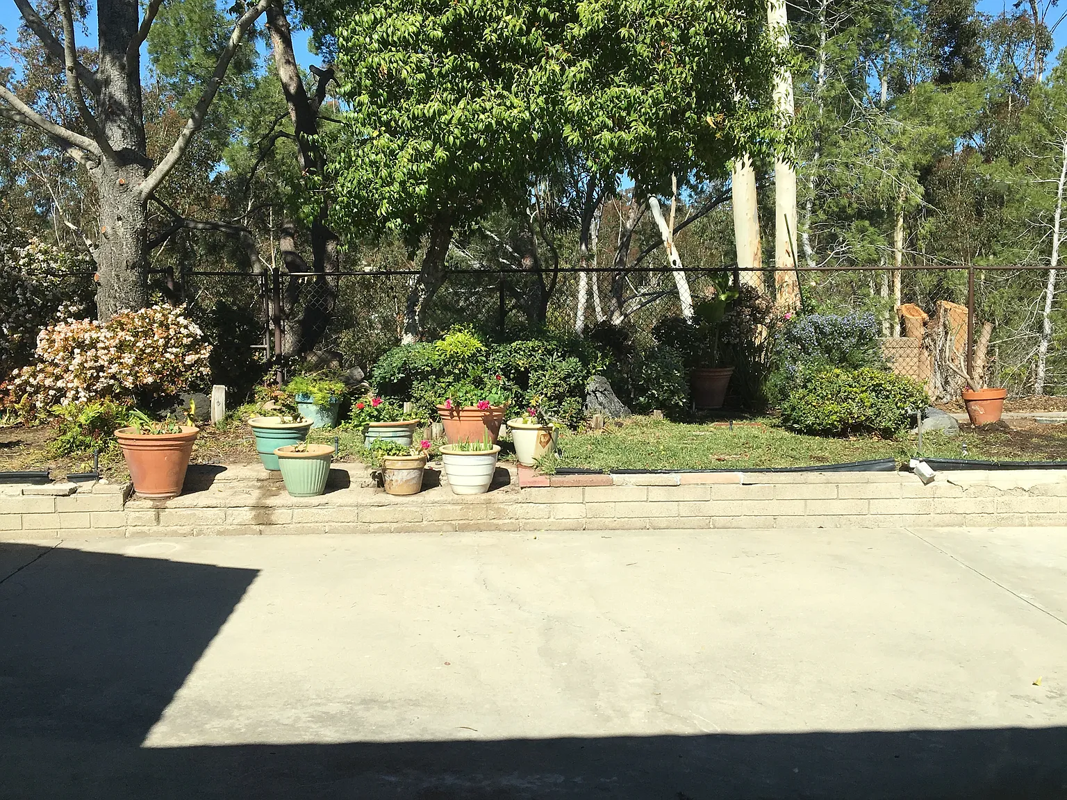 Arboretum Pl, San Diego — Photo 4