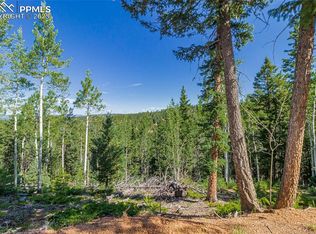 395 Paradiso Rd, Divide, CO 80814