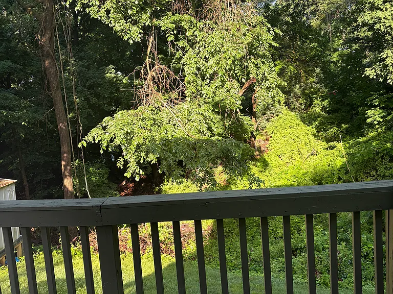 12 Rose Garden Ln — Photo 3