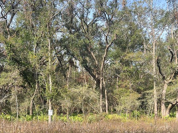 2nd image of LOT 10 206th Trl