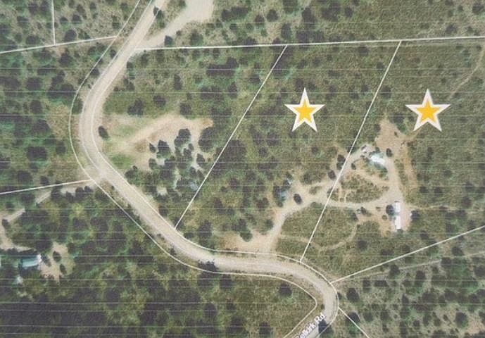 2nd image of 30 & 31 E Selkirk Rd