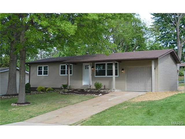 10934 Ambush Dr photo 1