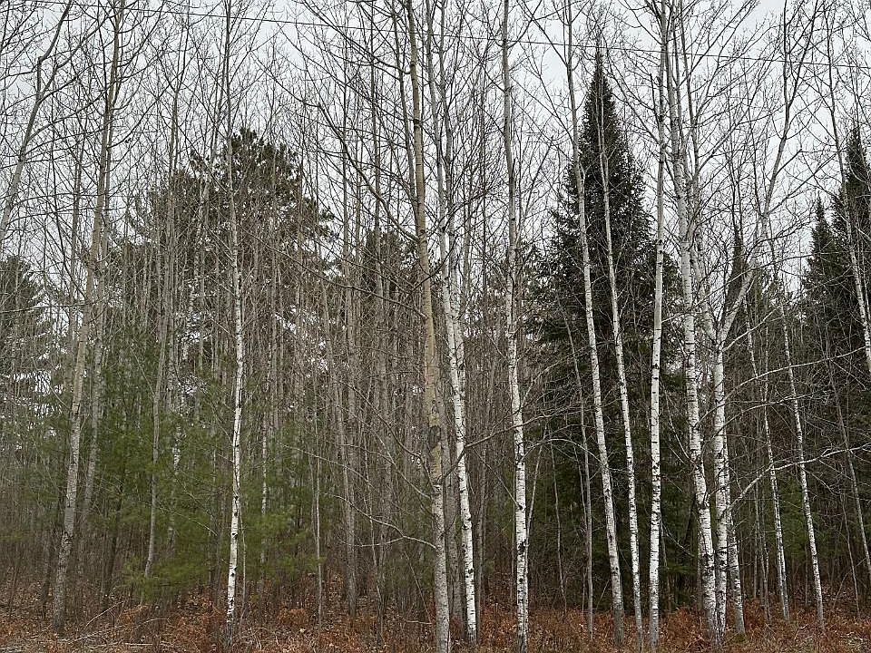 2nd image of Burrows Lake Rd #4067-D