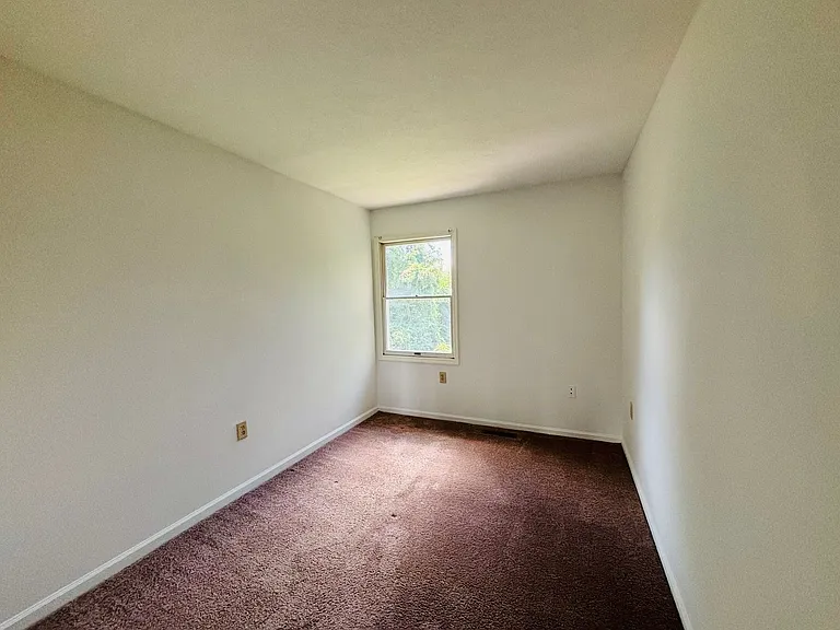 507C Green St — Photo 16