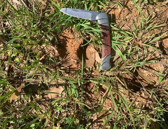 Lots of Deer Tracks and Other Signs of Game