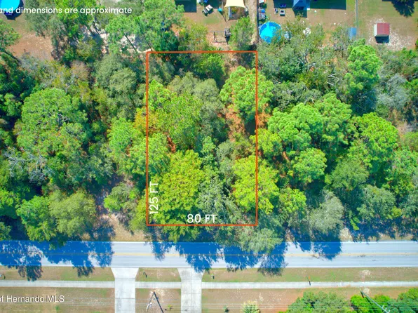 12646 N Linden Dr, Spring Hill, FL 34609