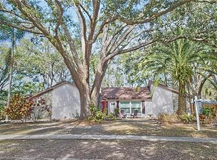1916 La Grande Dr, Dunedin, FL 34698