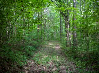 4000 W Fork Rd, Saulsbury, TN 38067