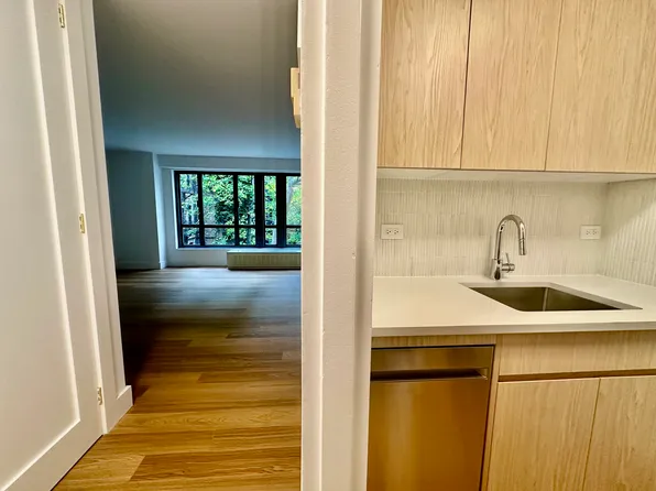 501 East 87th Street image 10 of 27