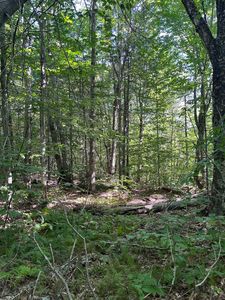 Faxon Hill Road Map 11 Lot 69-1, Washington, NH, 03280
