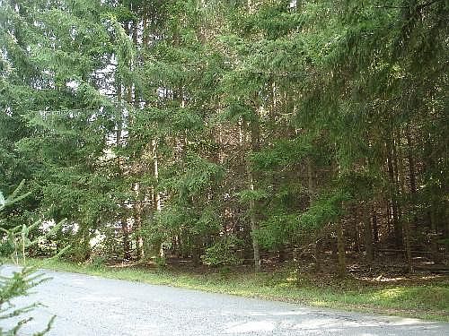 2nd image of Rocky View Dr