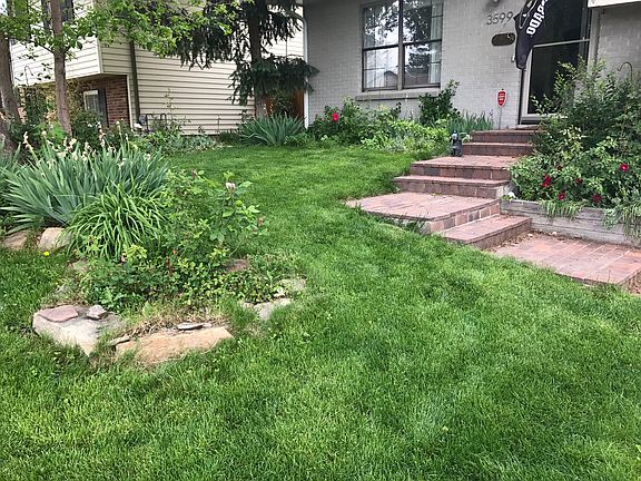 Seasonal Front Garden