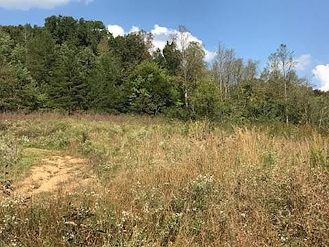 2nd image of Elk Fork Rd