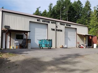 100 Mount Jupiter Rd, Brinnon, WA 98320