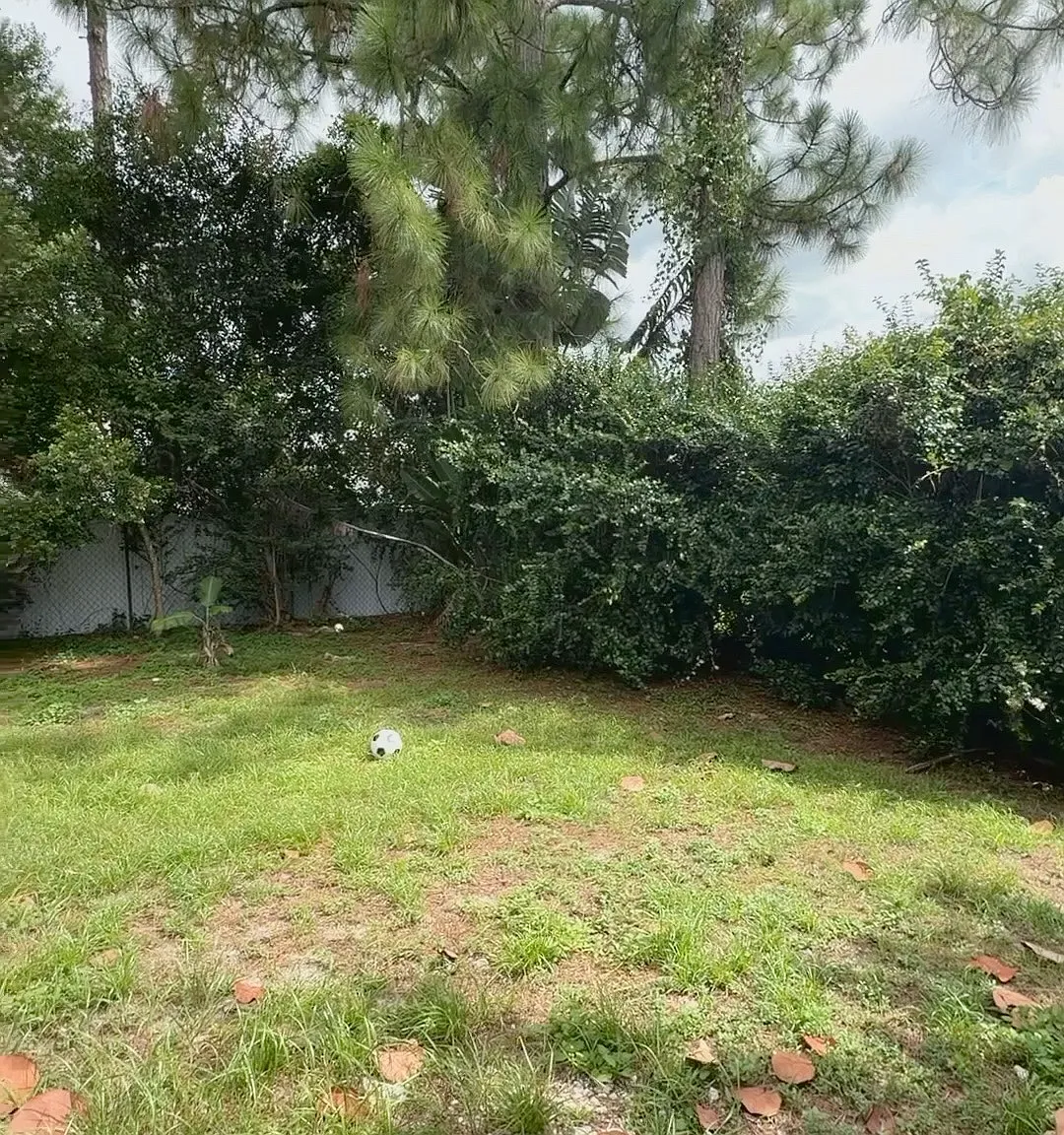 1 bed, 650 sqft, $800 — Photo 4