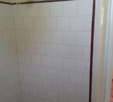 5th image of 826 Wyval Ave