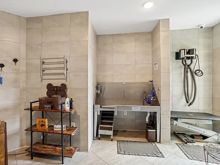 WAG pet spa