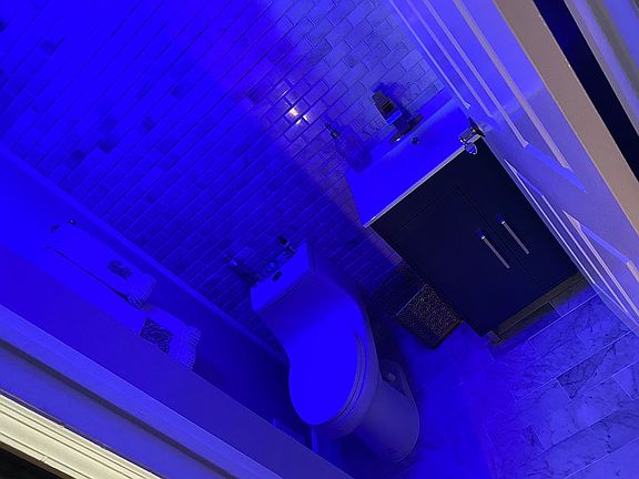 Half bath blue tooth speaker