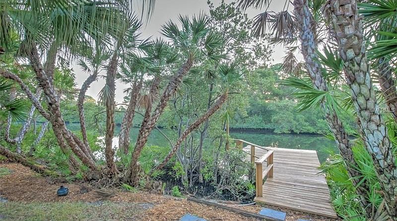 Tropical setting showing dock on deep water Lagoon