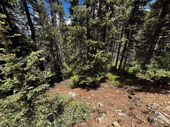 00 Forbes Rd, Fort Garland, CO 81133