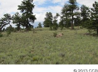 Forge Rd, Hartsel, CO 80449