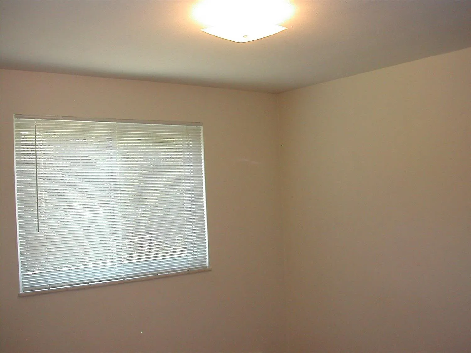 2 bed, 1.0 bath, 1824 sqft, $1,800 — Photo 2