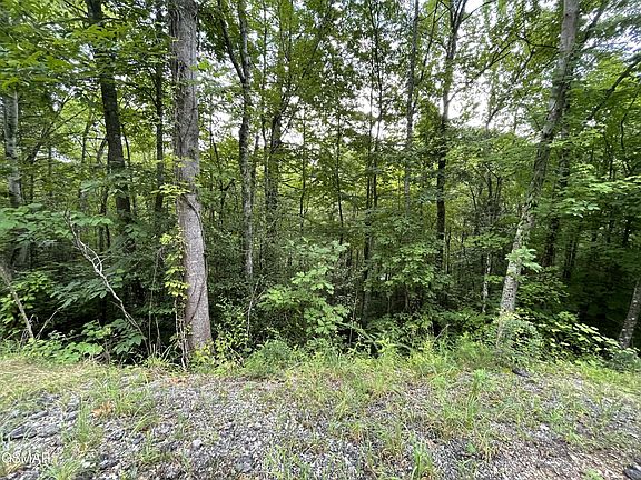 2nd image of 5 Stepping Stone Dr Lot 5