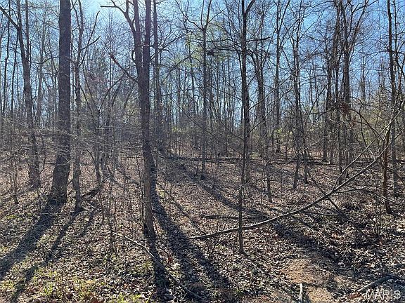 3rd image of PARCEL 2 Lake Rd