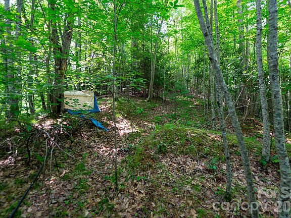 5th image of Board Tree Rd #4